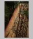 Black Tussar Printed Saree T2042631
