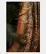 Beige Tussar Printed Saree T2042591