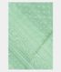 Light Green Silk Kota Embroidery Saree T1874331