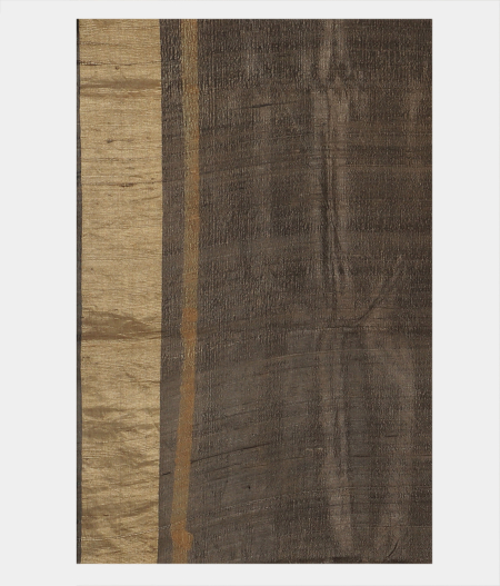 Brown Tussar Printed Saree T2068893