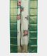 Light Green Printed Kanjivaram Silk Dupatta T1756462