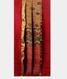 Light Brown Tussar Handpainted Kalamkari Saree T1910612