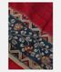 Red Handpainted Kalamkari Kanjivaram Silk Saree T1910641
