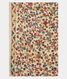 Red Handpainted Kalamkari Kanjivaram Silk Saree T1910643