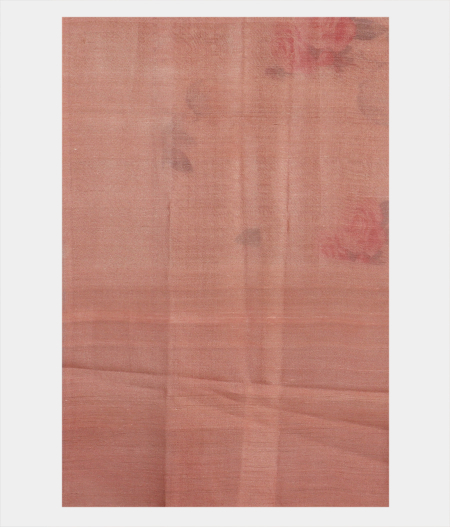 Salmon Pink Tussar Printed Saree T2043993
