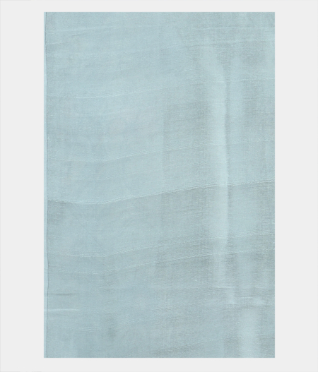 Light Blue Kora Organza Embroidery Saree T2037443