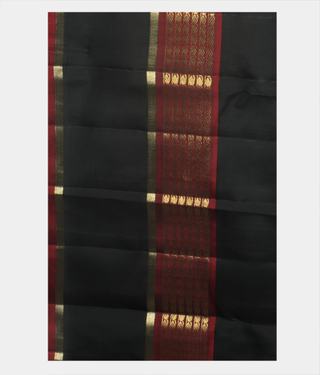 Light Green Handwoven Kanjivaram Silk Saree T2076444