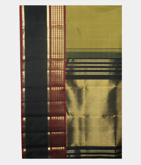 Light Green Handwoven Kanjivaram Silk Saree T2076445