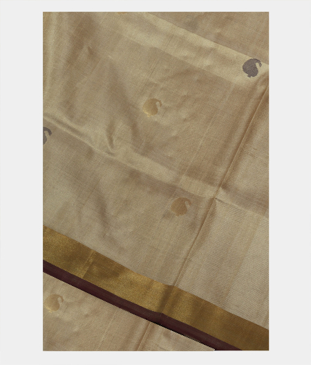 Beige Uppada Silk Saree T211302-image
