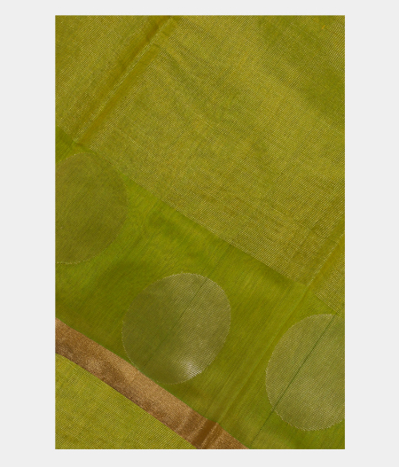 Light Green Silk Cotton Saree T188576-image