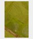 Light Green Silk Cotton Saree T1885761