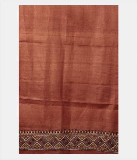 rust-tussar-embroidery-saree-t210804-t210804-c