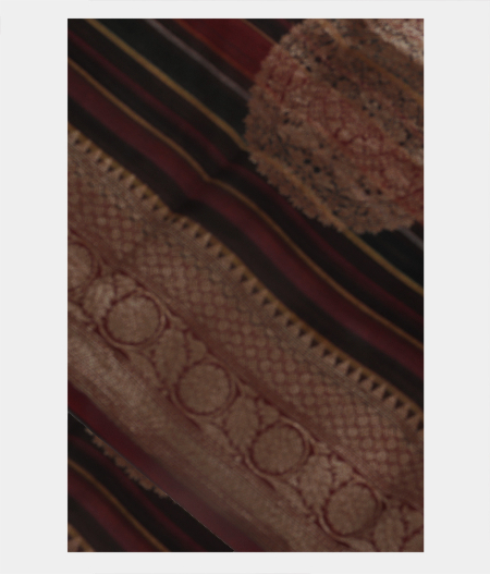 Multicolour Kora Organza Printed Saree T203363-image