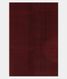 Multicolour Kora Organza Printed Saree T2033633