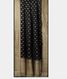 Black  Banaras Organza Saree T1481542