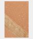 Peach Banaras Georgette Silk Saree T2141081