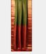 Green Banaras Georgette Silk Saree 2