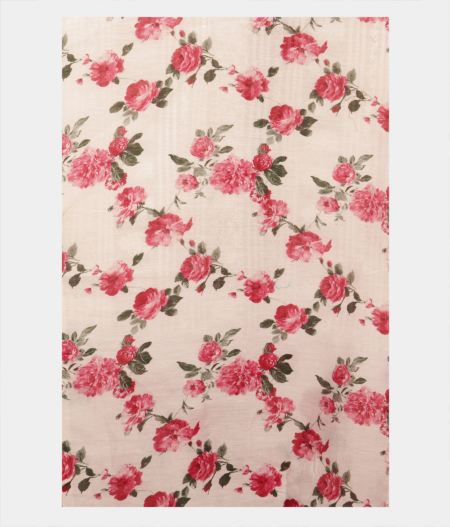 White Kora Organza Embroidery Saree T2134504