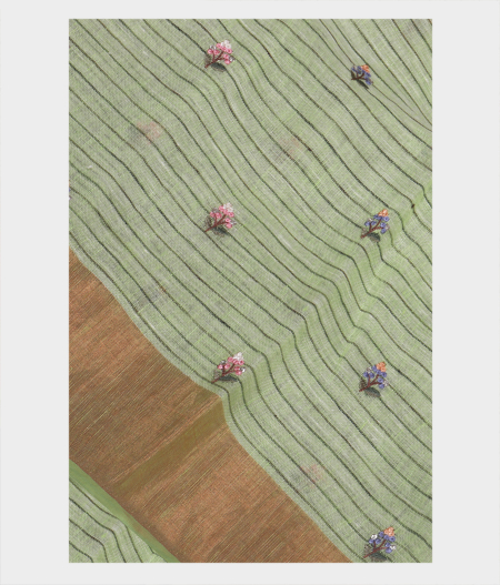 Green Linen Embroidery Saree LJ14016-image