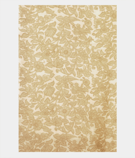 Light Sandal Yellow Kora Organza Embroidery Saree T2183973