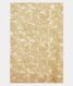 Light Sandal Yellow Kora Organza Embroidery Saree T2183973