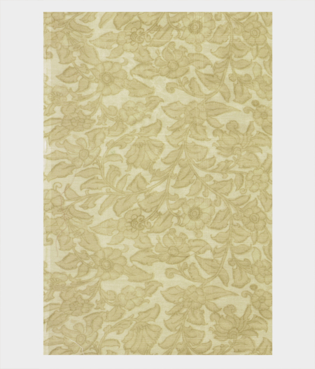 Light Green Kora Organza Embroidery Saree T2183953