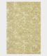 Light Green Kora Organza Embroidery Saree T2183953