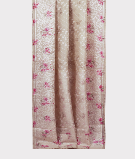 Light Grey Kora Organza Embroidery Saree T2184022