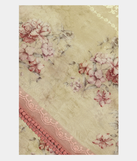 Light Yellow Kora Organza Embroidery Saree T218381-image