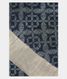 Blue Tussar Printed Saree T1908741