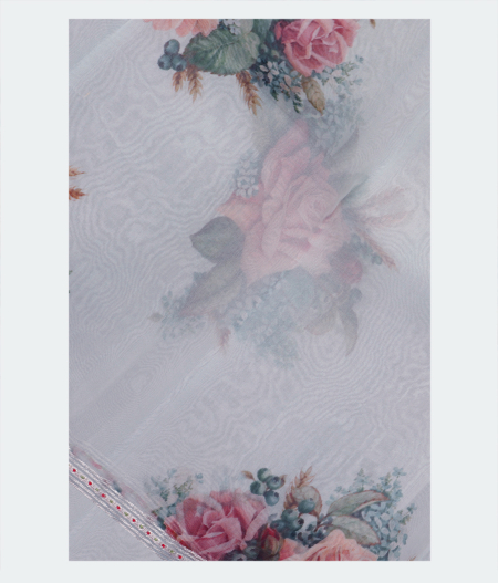 Light Blue Kora Organza Printed Saree T178999-image