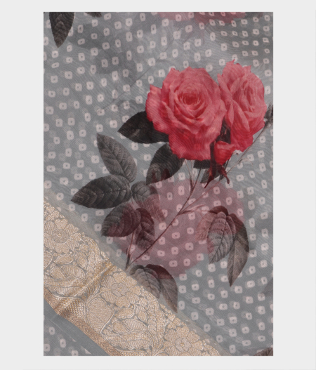 Grey Kora Organza Printed Saree T204403-image