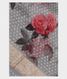 Grey Kora Organza Printed Saree T2044031