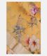 Yellow Kora Organza Printed Saree T2044201