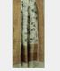 Light Green Kora Organza Printed Saree T1893732