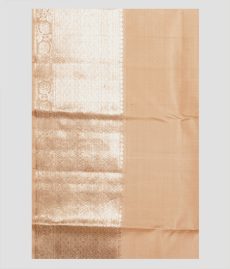 Beige Handwoven Kanjivaram Silk Saree T2053533