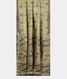  Beige Tussar Printed Saree T2165412