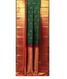 Green Handwoven Kanjivaram Silk Saree T2060972