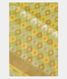 Light Green Woven Organza Saree T2095191