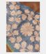 Blue and Brown Tussar Printed Saree T2197711