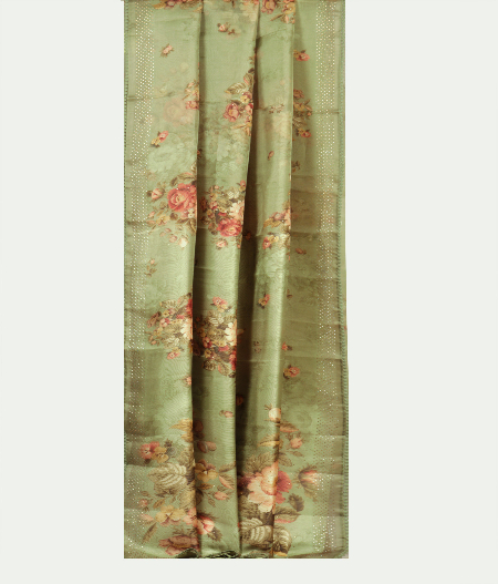 Green Kora Organza Printed Saree  T2183792