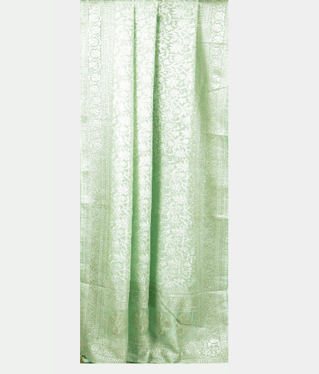 Light Green Kora Organza Embroidery Saree T2209832