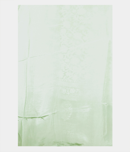 Light Green Kora Organza Embroidery Saree T2209833