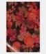 Black Kora Organza Printed Saree T2223111