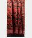 Black Kora Organza Printed Saree T2223112