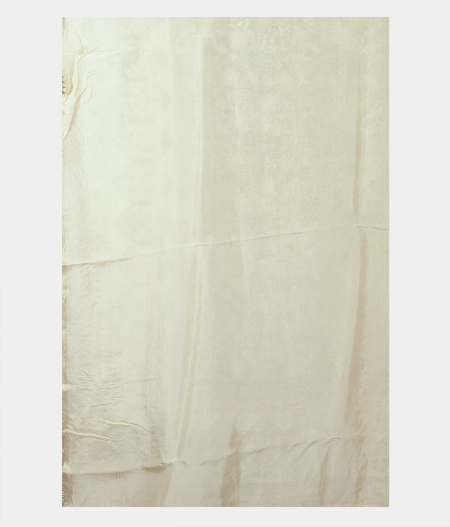 Cream Kora Organza Embroidery Saree T2218823