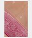 Beige Georgette Silk Saree T2224501