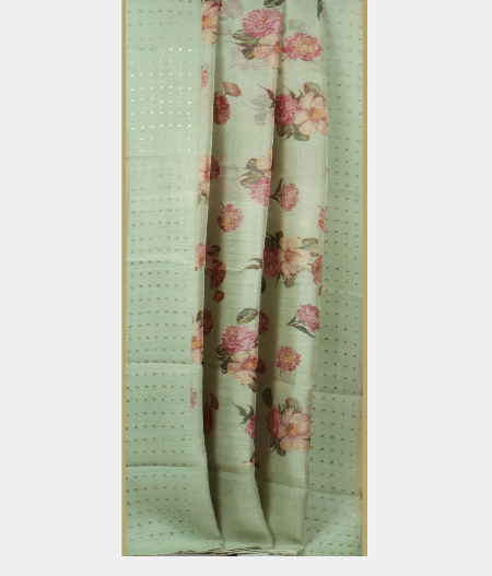 Light Green Kora Organza Printed Saree T2218362