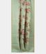 Light Green Kora Organza Printed Saree T2218362