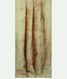 Olive Green Kora Organza Embroidery Saree T2219342